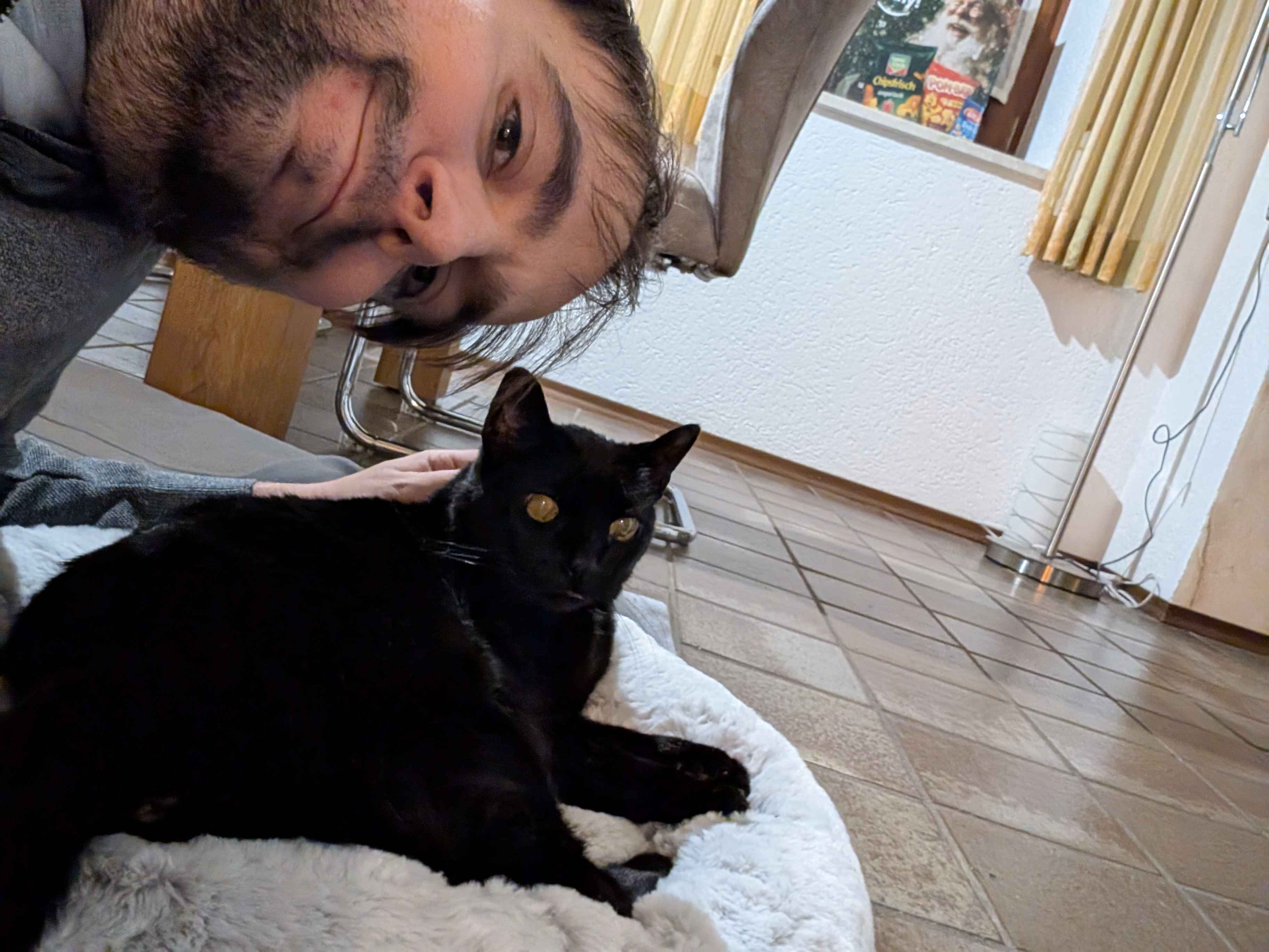 Ups, Hier ist noch kein Bild.